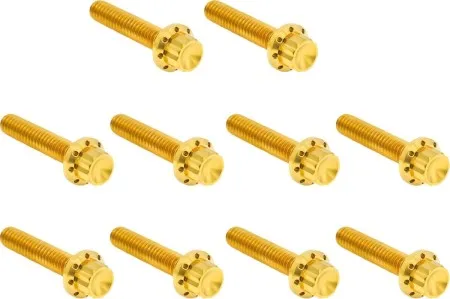 Arlen Ness Titanium Cam Cover Bolt Kit In Gold For 1999-2017 Harley Davidson Twin Cam (300-988)