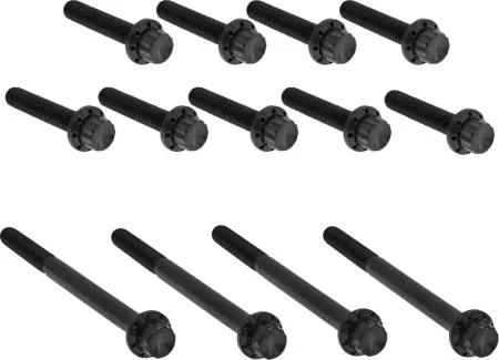 Arlen Ness Titanium Primary Cover Bolt Kit In Black For Harley Davidson 2007-2016 Touring (300-990)