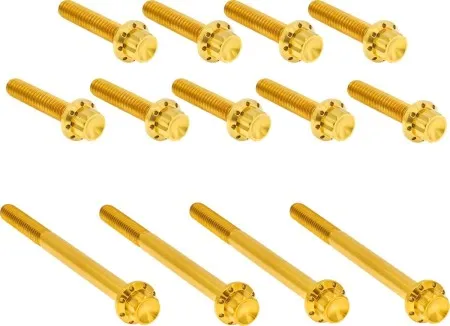 Arlen Ness Titanium Primary Cover Bolt Kit In Gold For Harley Davidson 2007-2016 Touring (300-991)