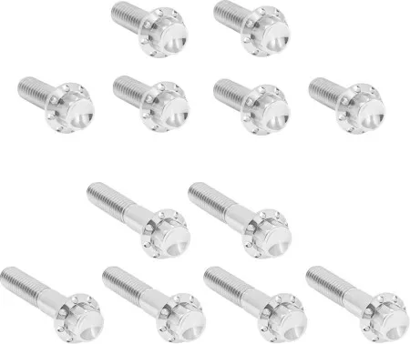 Arlen Ness Titanium Rocker Box Bolt Kit In Polished For 1999-2017 Harley Davidson Twin Cam (300-992)