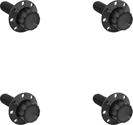 Arlen Ness 12-Point Windshield Bolt Kit In Black For Harley Davidson 2023 Street Glide CVO & 2024-2026 Street Glide (300-840)