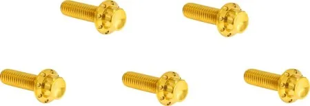 Arlen Ness Titanium Derby Cover Bolt Kit In Gold For 2018-2026 Softail (300-925)